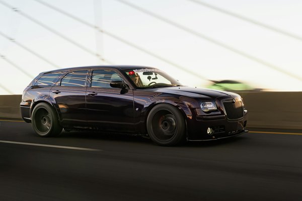 What's the Best Method for Introducing a New Dog to a Small Living Space?